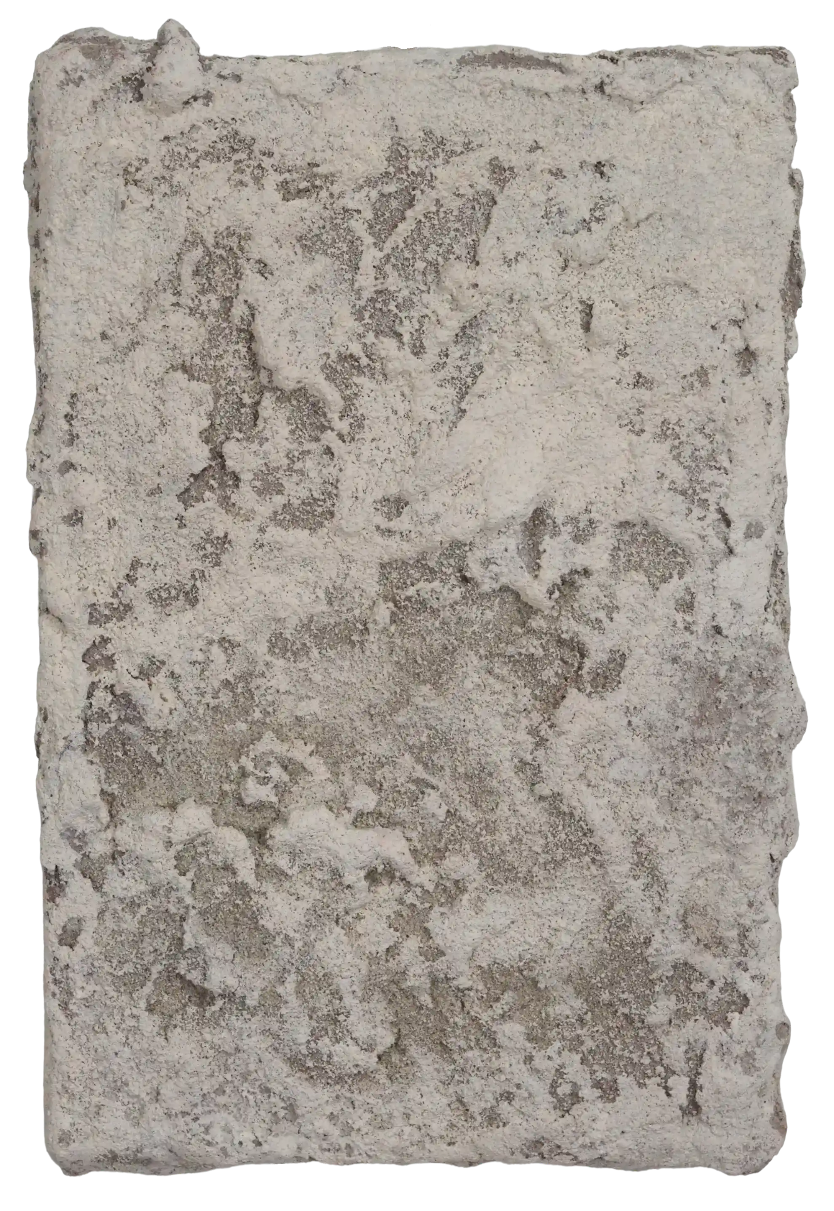 Grains of Silence — Tessa Lucas