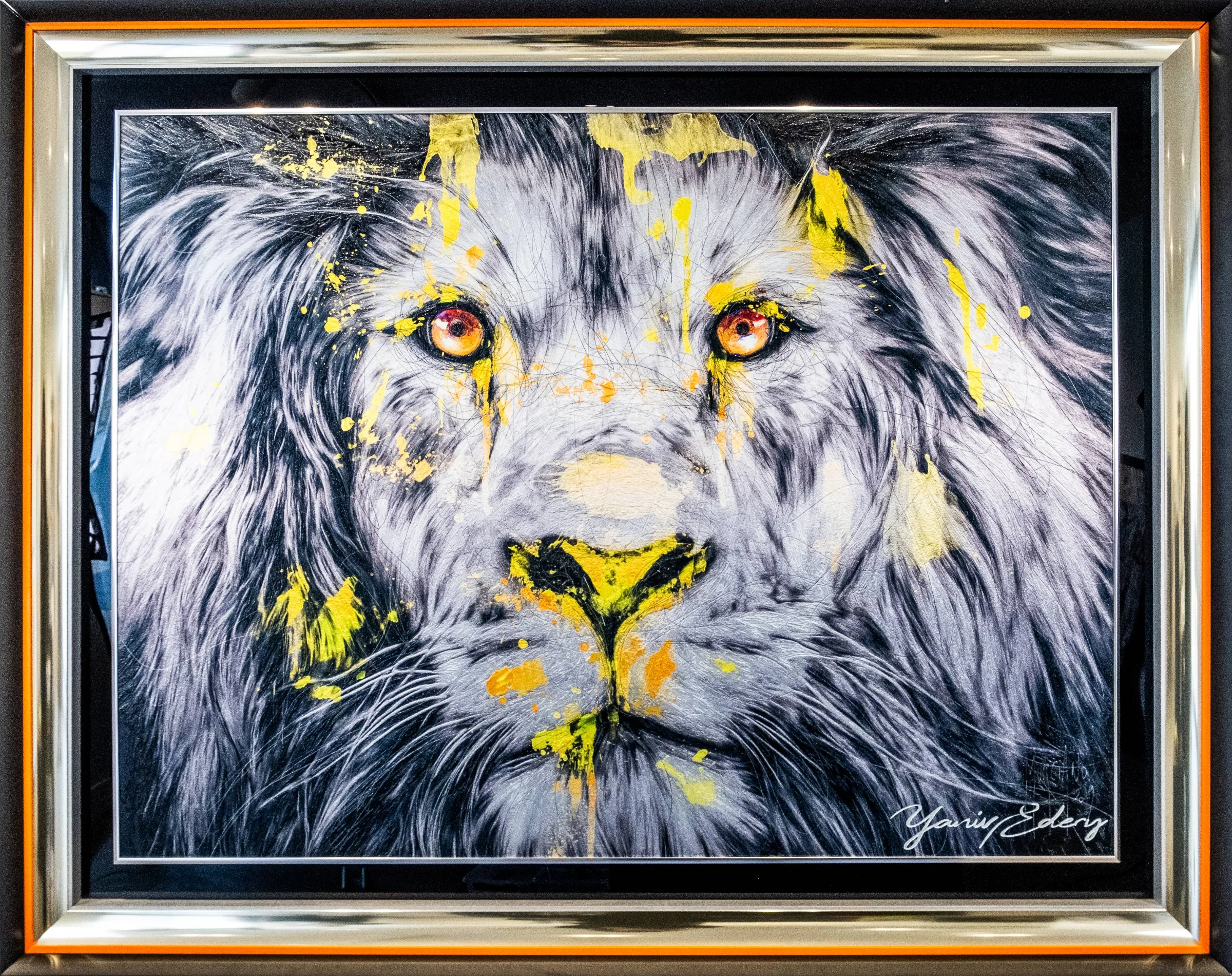 Lion Yellow Face X Murciano — Yaniv Edery