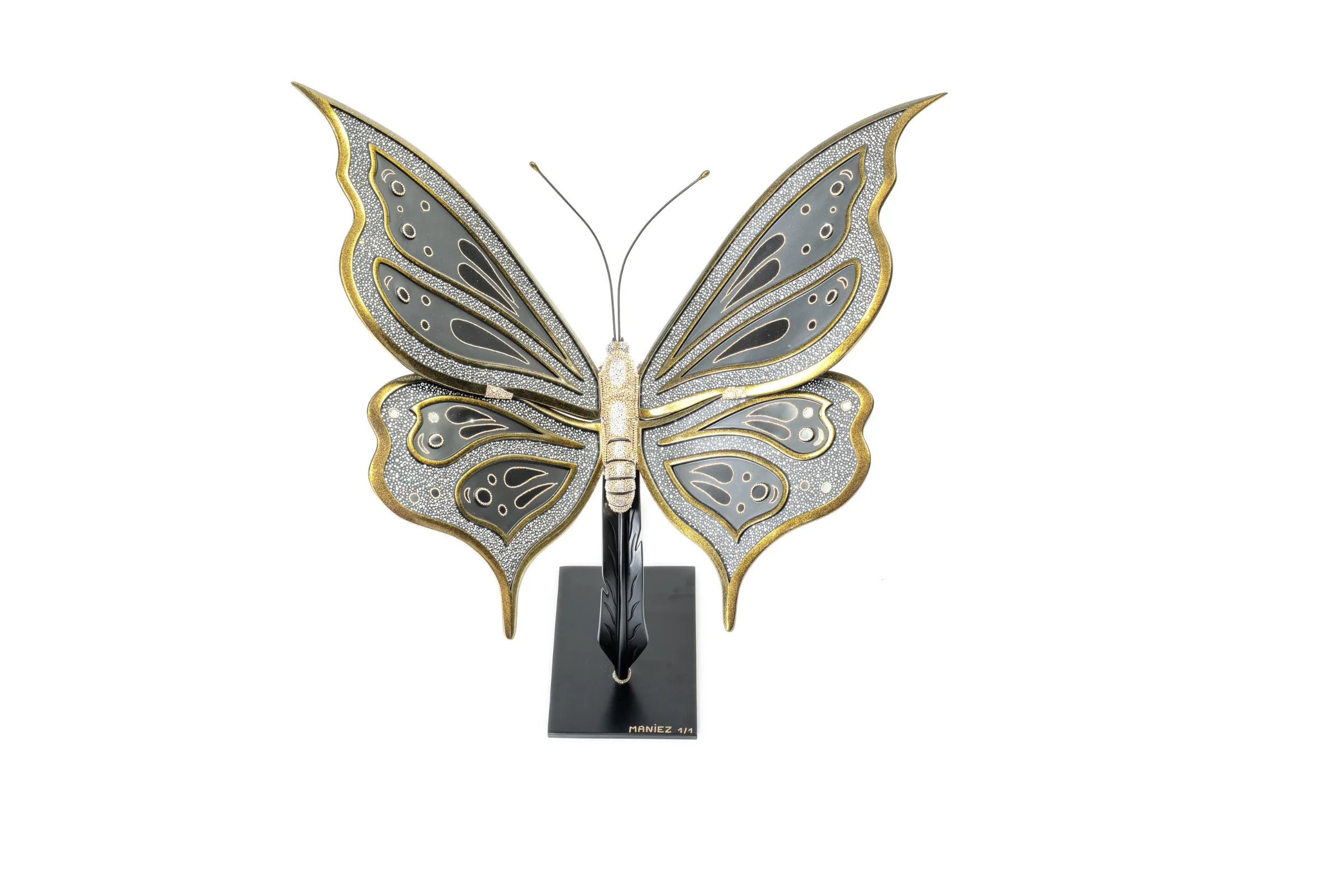 Butterfly Black & Gold — Eddy Maniez
