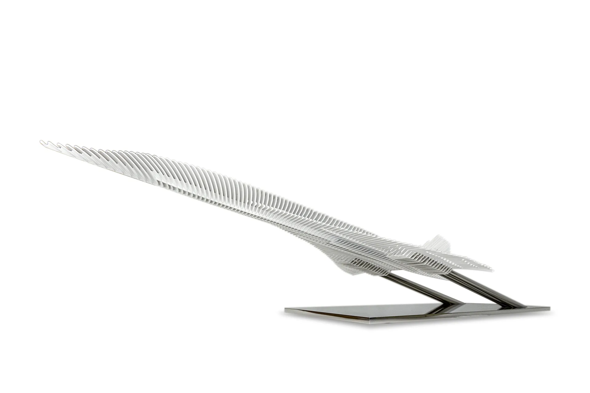 Concorde — White — Antoine Dufilho