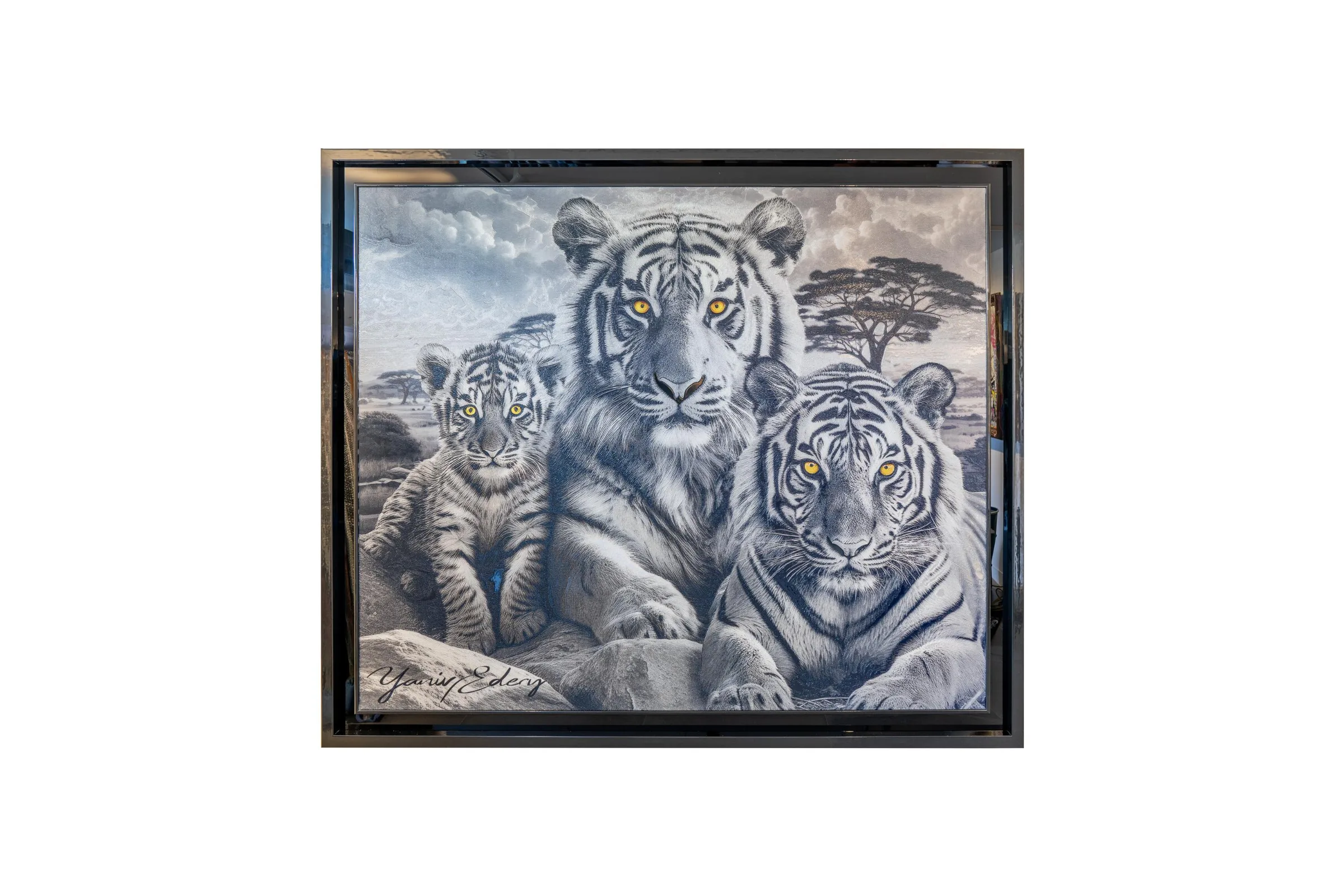 Tigers Black And White — Yaniv Edery