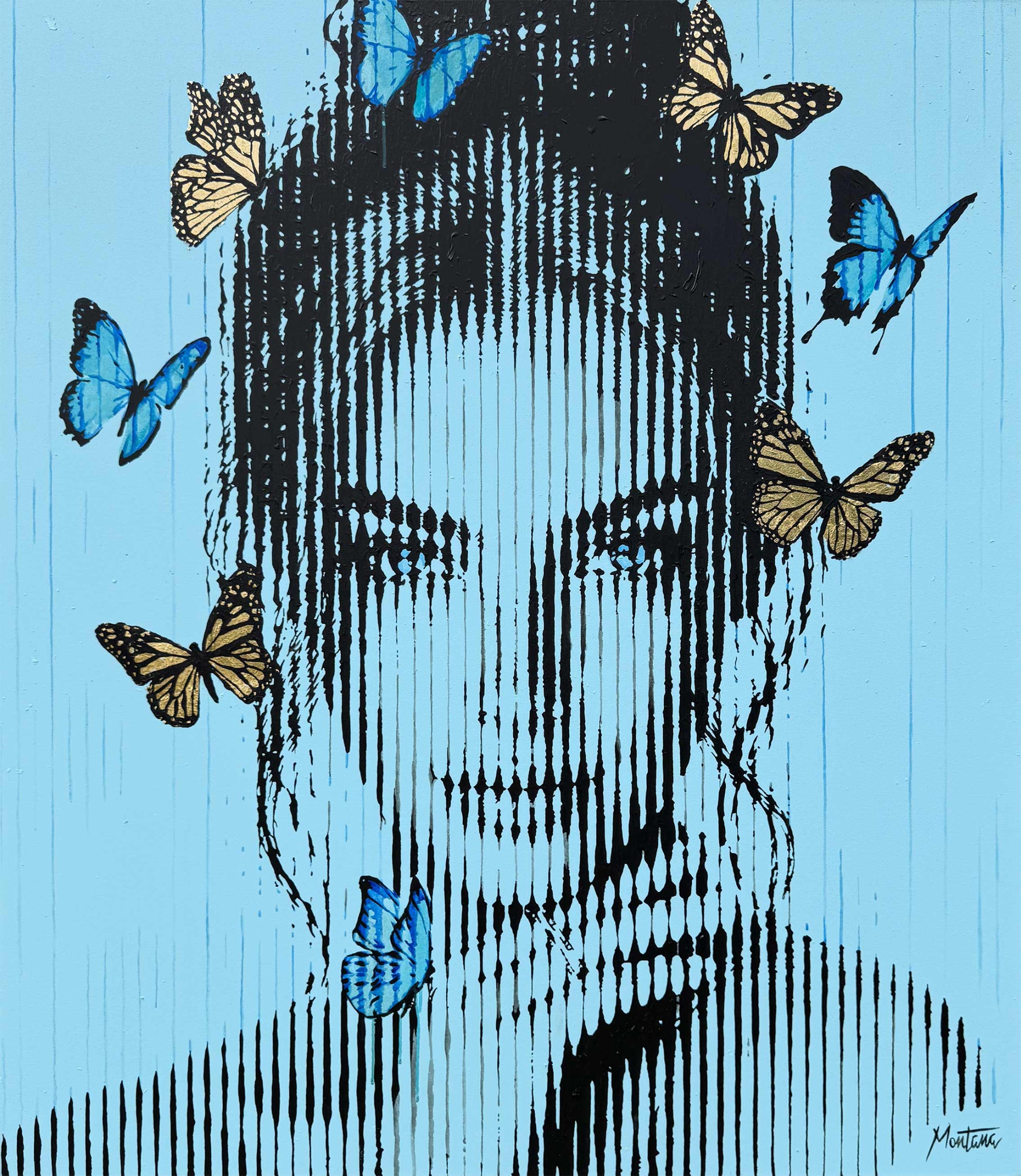Madison — Montana Engels